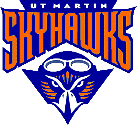 Tennessee-Martin Skyhawks 2003-2008 Primary Logo diy fabric transfers